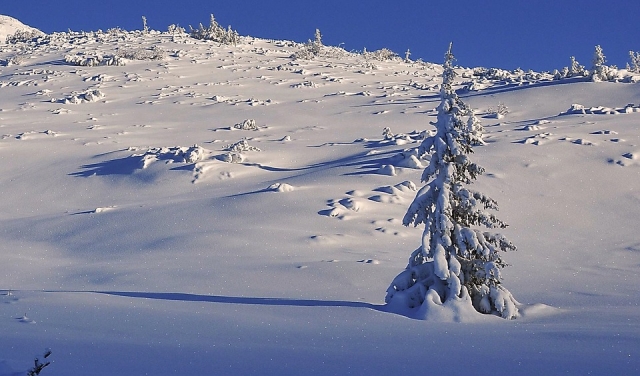  Neve fresco, que vista dos sonhos!